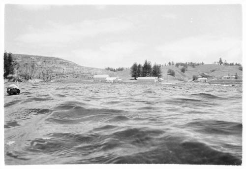 Snorkeler at Norfolk Island at site of the wreck of the SIRIUS