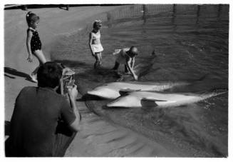 Black and white shot of group standing in water at shallow edge with three dolphins laying exposed on shore