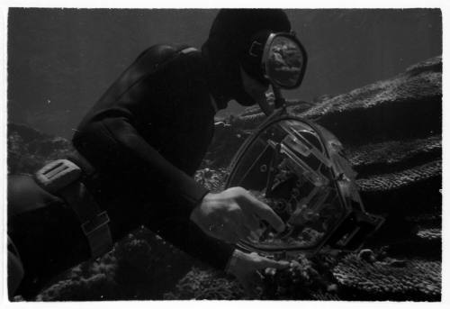 1967 Belgian Scientific Expedition - a filmic and photographic survey of the Great Barrier Reef