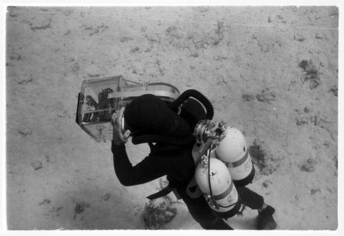 1967 Belgian Scientific Expedition - a filmic and photographic survey of the Great Barrier Reef