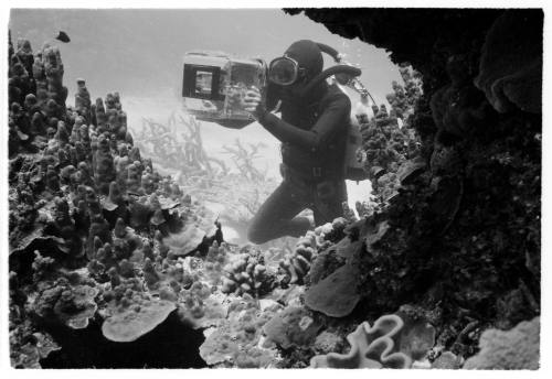 1967 Belgian Scientific Expedition - a filmic and photographic survey of the Great Barrier Reef