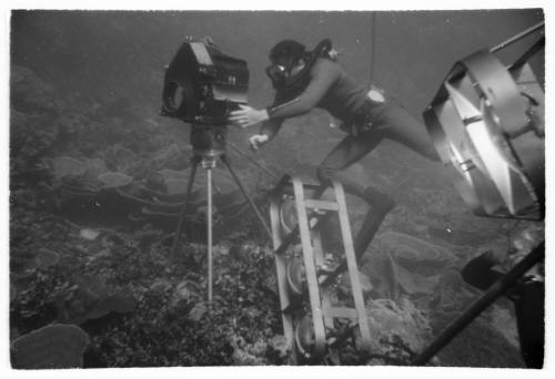 1967 Belgian Scientific Expedition - a filmic and photographic survey of the Great Barrier Reef