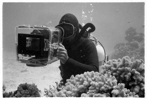 1967 Belgian Scientific Expedition - a filmic and photographic survey of the Great Barrier Reef