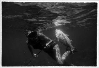 Black and white underwater shot at water surface of freediver holding a spear rod with a caught fish on end