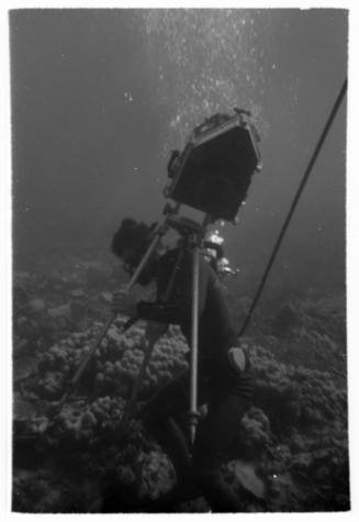 1967 Belgian Scientific Expedition - a filmic and photographic survey of the Great Barrier Reef