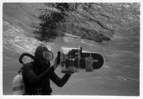 1967 Belgian Scientific Expedition - a filmic and photographic survey of the Great Barrier Reef