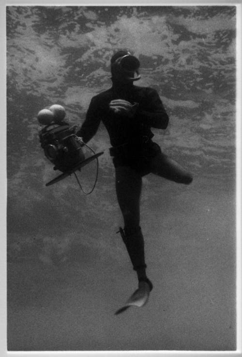 Black and white underwater shot of freediver near water surface holding camera equipment