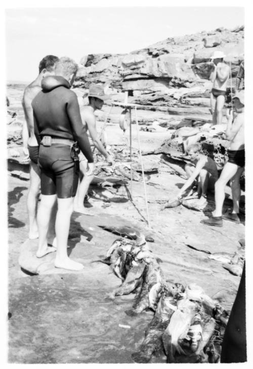 Black and white shot of divers standing on rock platform with caught fish lined against the rocky ledges