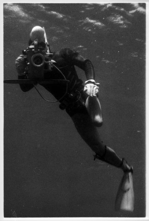 Black and white underwater shot of freediver near water surface holding camera equipment squarely