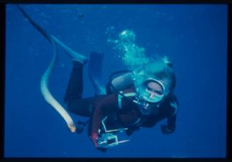 Underwater shot of Valerie Taylor scuba diving next to a swimming sea snake
