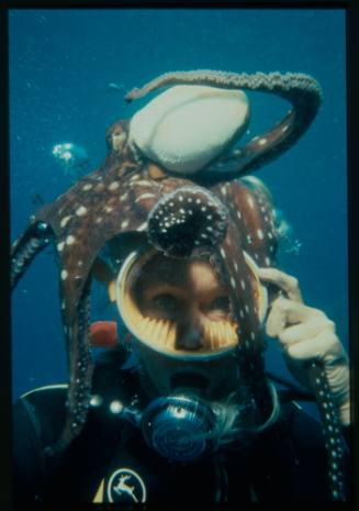 Underwater close up shot of Valerie Taylor with Octopus on her head