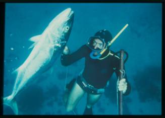 Underwater shot of freediver holding a speared fish and spear rod