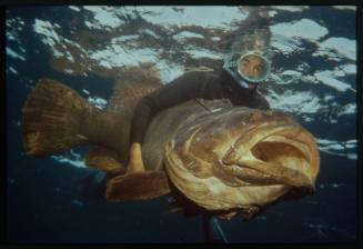 Underwater shot of freediver with arms wrapped around a fish