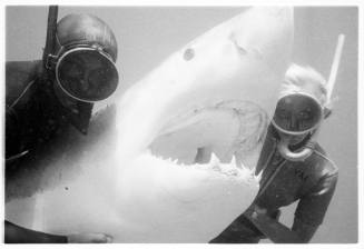 Black and white underwater shot of shark with two freedivers either side