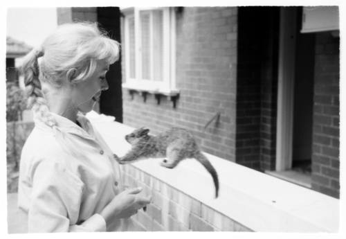 Black and white shot of Valerie Taylor looking at a possum on balcony edge