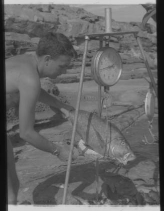Shot of person holding caught fish on a large weighing scale