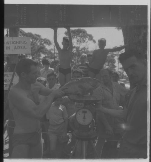 Shot of person holding caught fish by a large weighing scale with second person assisting