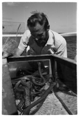 Black and white medium shot on a boat of person looking into clear container filled with water and sea snakes