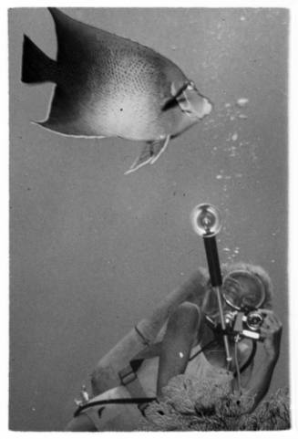 Black and white underwater medium shot of Valerie Taylor with large fish