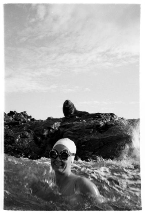 Black and white shot at water surface of Mary Margaret Reveil in water in front of rock with porpoise sitting on it