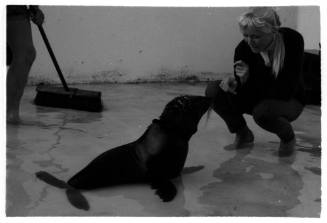 Juvenile seal and Valerie Taylor