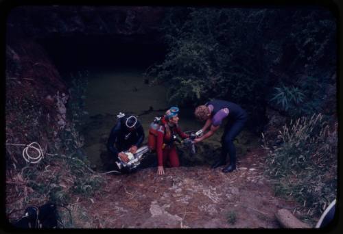 Valerie Taylor climbing out of water