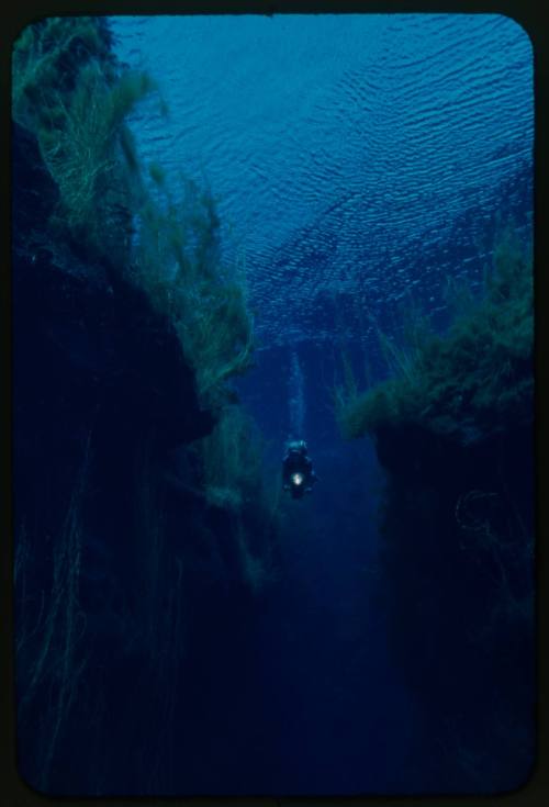 Valerie Taylor underwater moving towards the camera