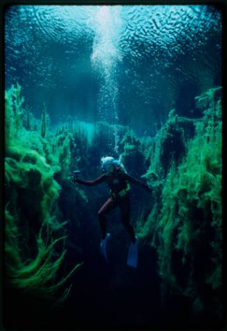 Valerie Taylor underwater surrounded by underwater vegetation
