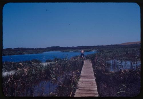 A person at the end of a wooden platform above a body of water