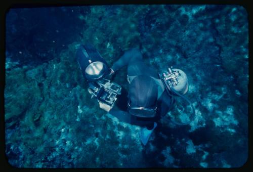 Shot of diver likely Ron Taylor underwater taken above their head