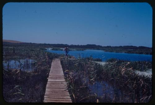 A person at the end of a wooden platform walking back towards the camera