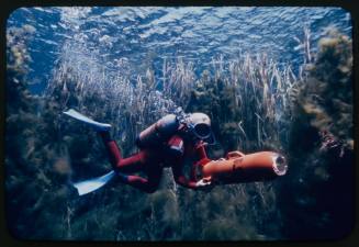 Valerie Taylor underwater holding an orange underwater scooter