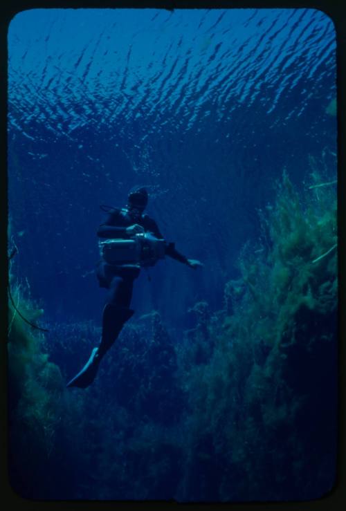 Diver underwater with equipment in right hand