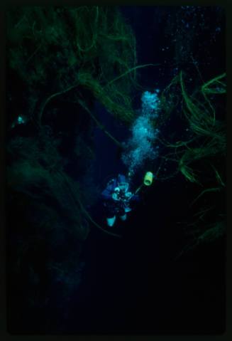 Underwater shot of a diver below