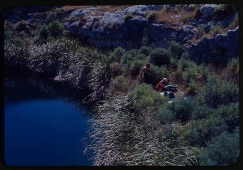 Valerie and Ron Taylor next to a body of water