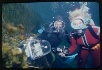 Close up shot of Valerie and Ron Taylor underwater