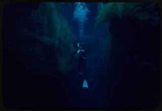 Blurry shot of diver underwater