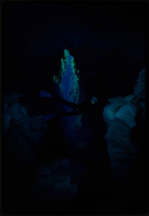 Silhouette of a diver underwater