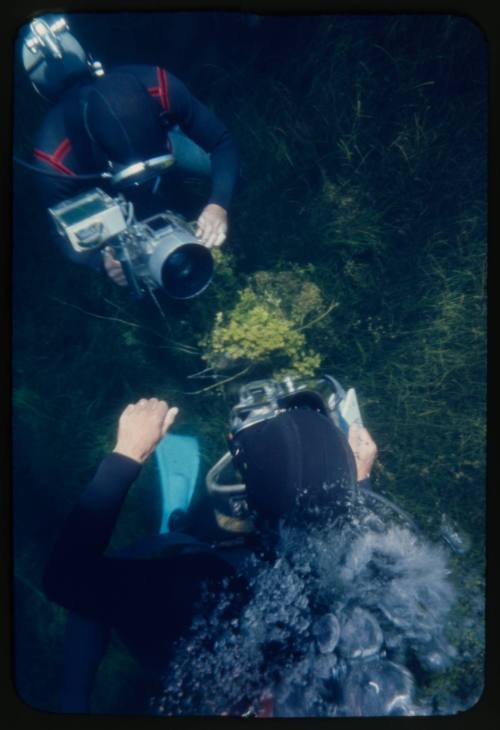 Two divers underwater pointing their cameras at each other