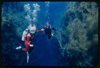 Valerie and Ron Taylor underwater