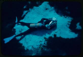 Diver swimming along seabed with camera in hands