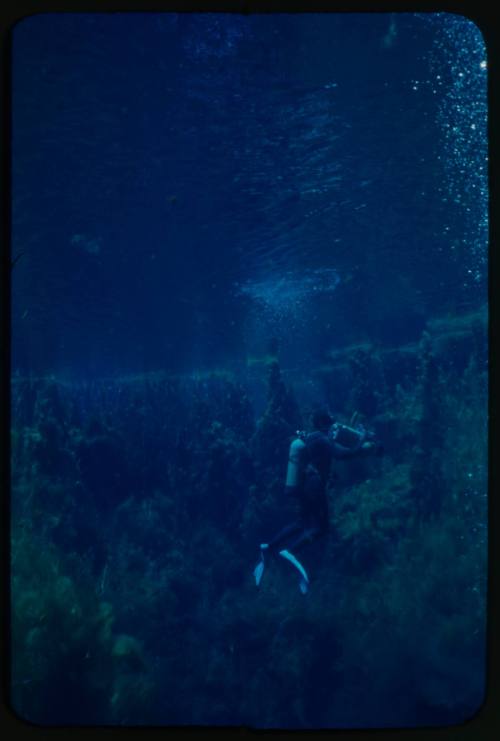 Diver underwater with camera in arm