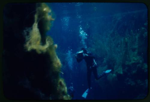 Diver underwater with camera