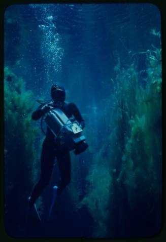 Diver underwater examining camera