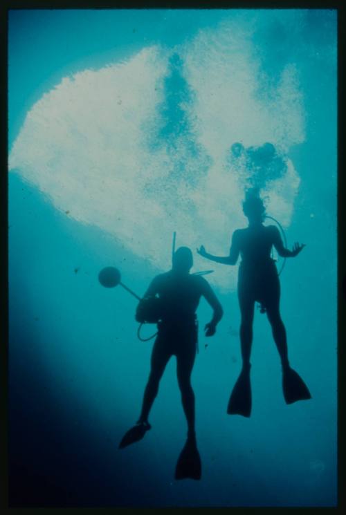 Silhouette of two divers underwater