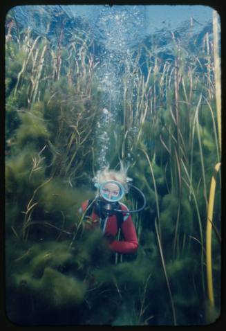 Valerie Taylor underwater amongst vegetation