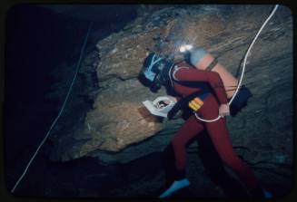 Valerie Taylor underwater with rocky surface behind her