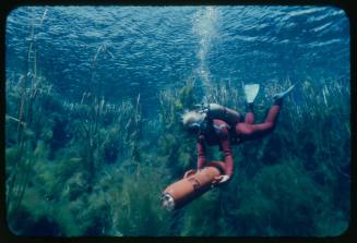 Valerie Taylor underwater with underwater scooter amongst vegetation
