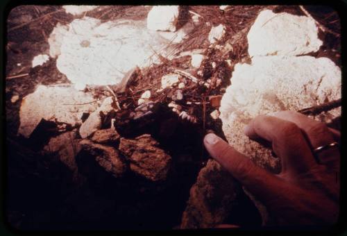 Hand pointing at something in ground