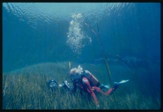 Valerie Taylor underwater above a bed of underwater vegetation